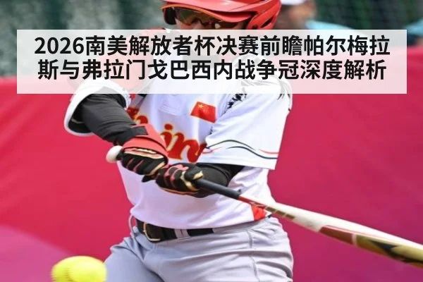 2026南美解放者杯决赛前瞻帕尔梅拉斯与弗拉门戈巴西内战争冠深度解析